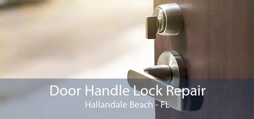 Door Handle Lock Repair Hallandale Beach - FL