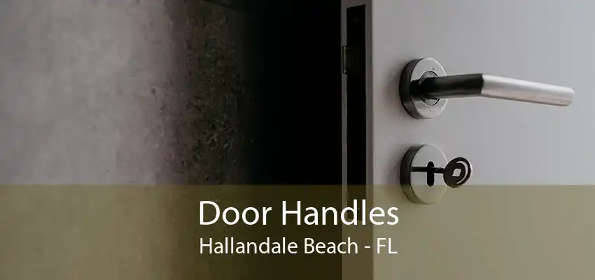 Door Handles Hallandale Beach - FL