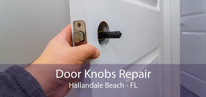 Door Knobs Repair Hallandale Beach - FL