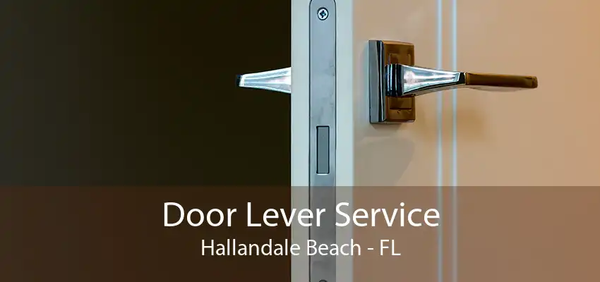 Door Lever Service Hallandale Beach - FL