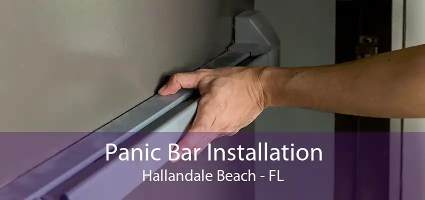 Panic Bar Installation Hallandale Beach - FL