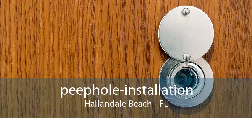 peephole-installation Hallandale Beach - FL