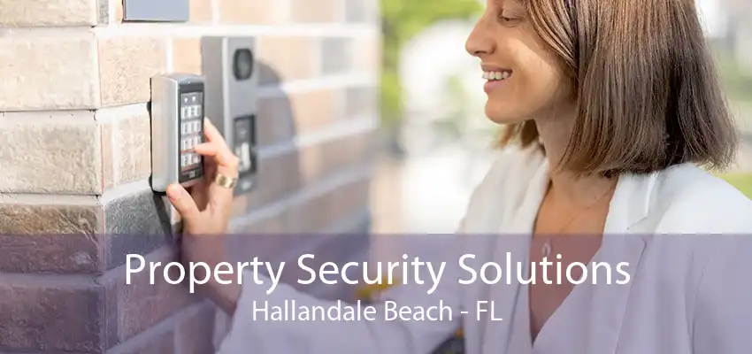 Property Security Solutions Hallandale Beach - FL